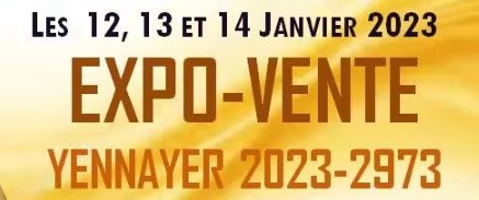 Yennayer : expo-vente les 12, 13 et 14 janvier à Alger