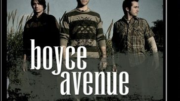 boyce-avenue-algérie