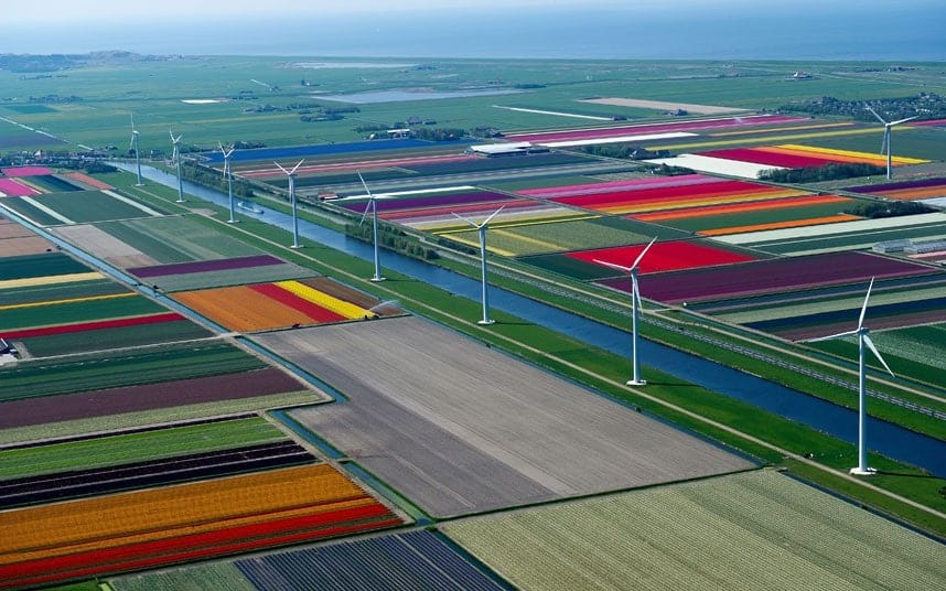 Champ de tulipes aux Pays-Bas par Normann Szkop 2