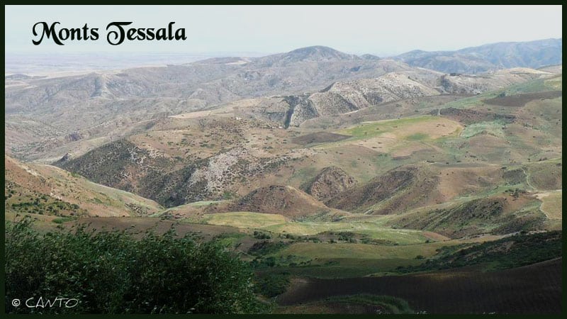 Monts du Tessala Sidi Bel Abbès